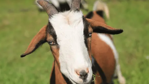 Screenshot 2025-03-12 at 9.37.39 AM